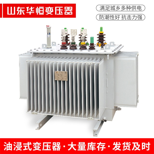 S13-10000/35宣恩宣恩宣恩电力变压器